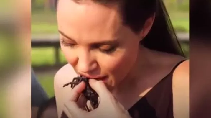 Angelina Jolie comiendo tarántulas. Captura Angelina Jolie comiendo tarántulas. Captura