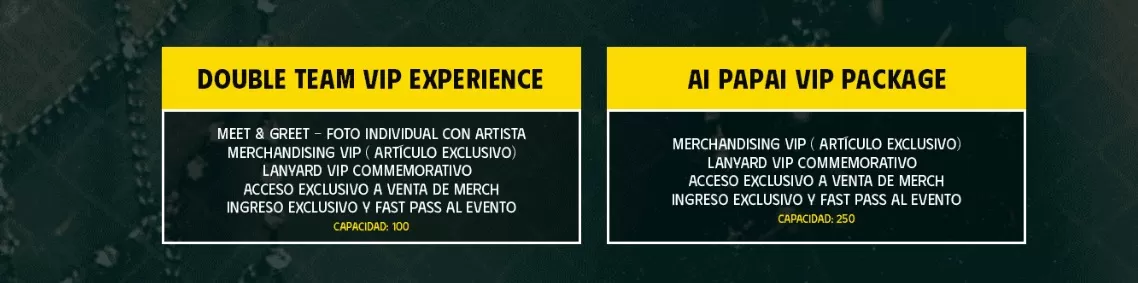 Explicación de las zonas | Imagen: Ticketmaster