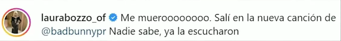 Laura Bozzo compartió con sus seguidores su emoción tras enterarse que su nombre fue incluído en la última canción de Bad Bunny/ Foto: Instagram