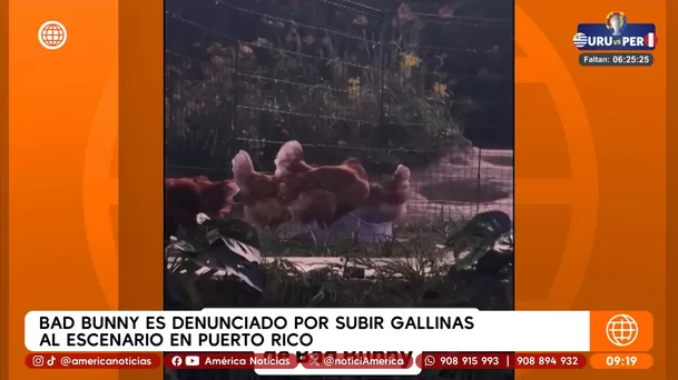 PETA denunció a Bad Bunny por usar gallinas vivas en su concierto en Puerto Rico / Captura