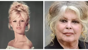 Brigitte Bardot se encuentra hospitalizada en Francia por una grave enfermedad/ Instagram