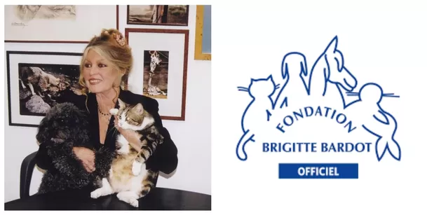 Brigitte Bardot defensora de los animales/ Instagram