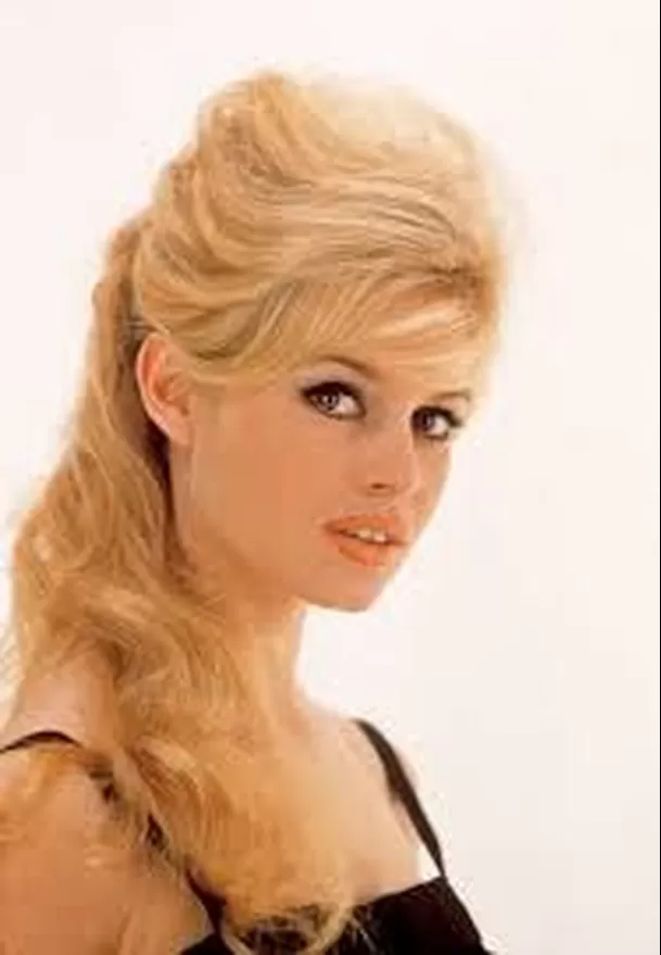 Brigitte Bardot: Hospitalizada por grave enfermedad / Instagram