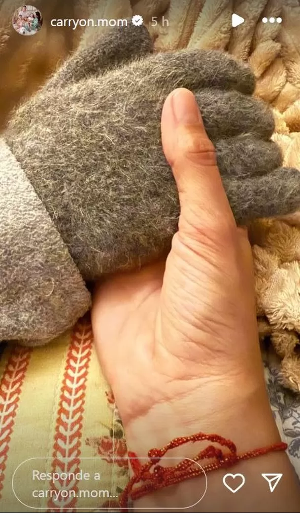 Despedida de la nieta de Camucha Negrete / Instagram