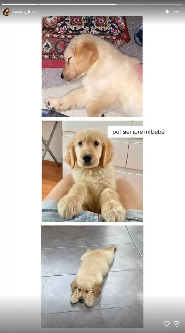Carla Campos y la celebración especial para el amor de su vida / IG:carlaacs_ Carla Campos y la celebración especial para el amor de su vida / IG:carlaacs_
