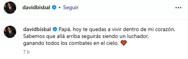El emotivo adiós de David Bisbal tras la partida de su padre José Bisbal/ Captura Instagram