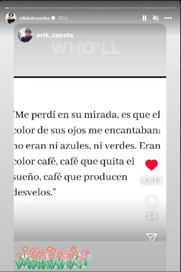 El romántico mensaje de Erik Zapata, fue reposteado en las historias de Érika Villalobos/ Foto: Instagram