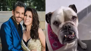 La desgarradora despedida de Eugenio Derbez y Alessandra Rosaldo a su querida Fiona / Instagram