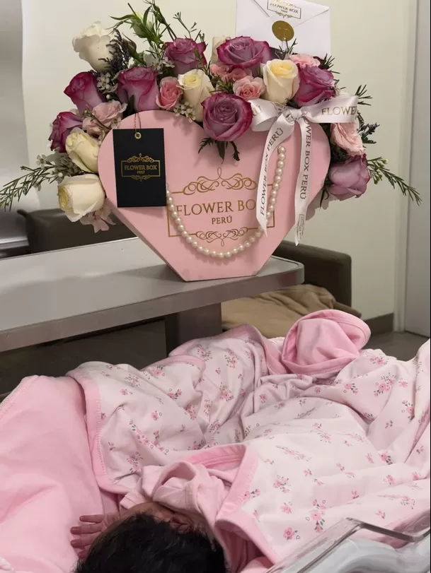 La primera foto de la bebé de Arlette Rujel, Miss Grand Perú 2024 / Instagram