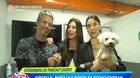 Fiorella Rodríguez y su hija encontraron a su mascota Bowie 