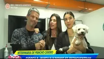 Después de unos días de angustia, Mikella Callegari se reencontró con su perrito 