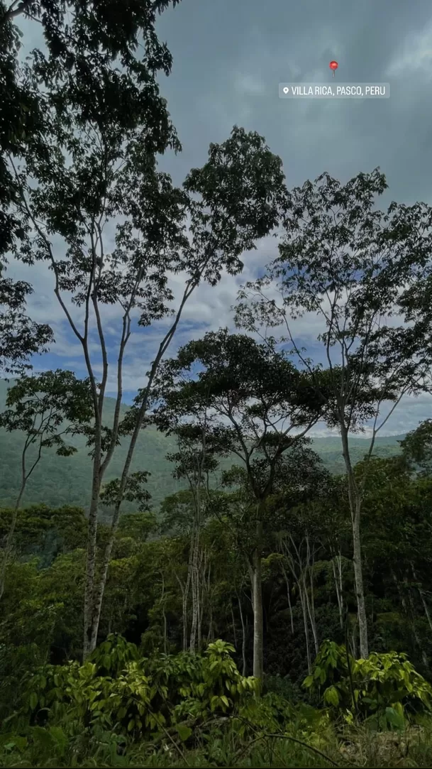 Daniela Zevallos compartió foto en Villa Rica. Fuente: Instagram