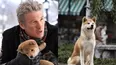 ‘Hachiko’ regresa a los cines del Perú después de 15 años / TikTok: @movietrailers369