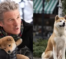 ‘Hachiko’ regresa a los cines del Perú después de 15 años / TikTok: @movietrailers369