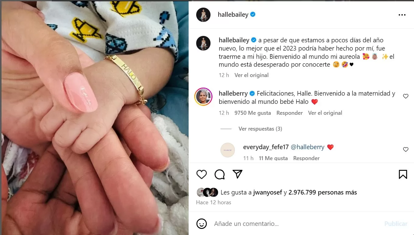 Mensaje de Halle Bailey presentando al pequeño Hallo/Foto: Instagram