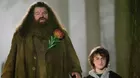 Harry Potter: actor que interpretó a ‘Hagrid’ no puede caminar por esta enfermedad