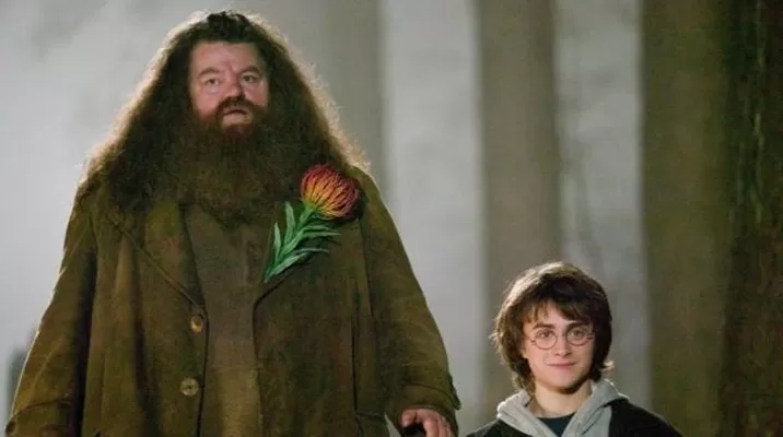 ‘Hagrid’ no puede caminar por esta enfermedad. Foto: Universal Studios ‘Hagrid’ no puede caminar por esta enfermedad. Foto: Universal Studios