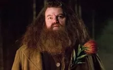 Harry Potter: Revelan la causa de muerte de Robbie Coltrane, actor  que interpretó a Hagrid - Noticias de harry