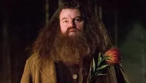 Harry Potter: Revelan la causa de muerte de Robbie Coltrane, actor  que interpretó a Hagrid