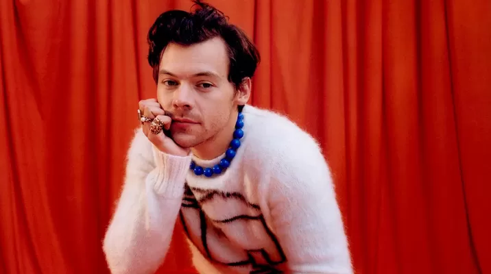 Detienen a acosadora de Harry Styles tras causar daños al cantante. Fuente: AFP Detienen a acosadora de Harry Styles tras causar daños al cantante. Fuente: AFP