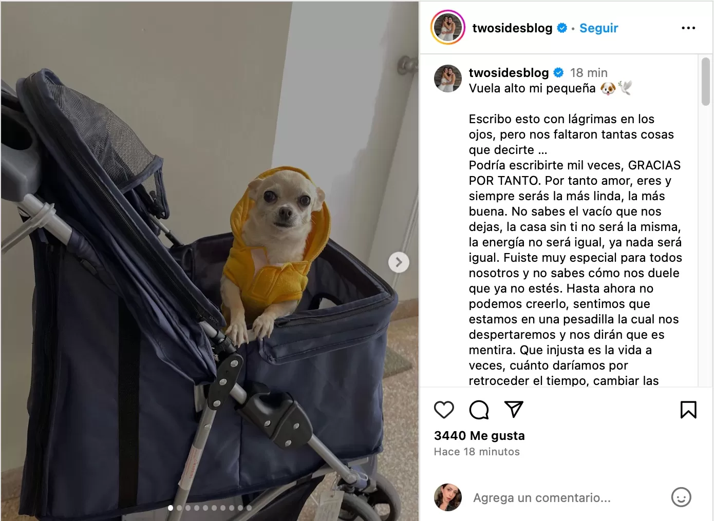 Hermanas de Patricio Parodi de despiden de su mascota. Fotos: Instagram