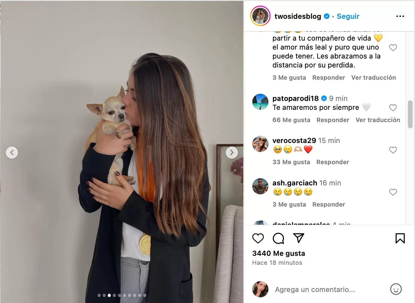 Hermanas de Patricio Parodi de despiden de su mascota. Fotos: Instagram