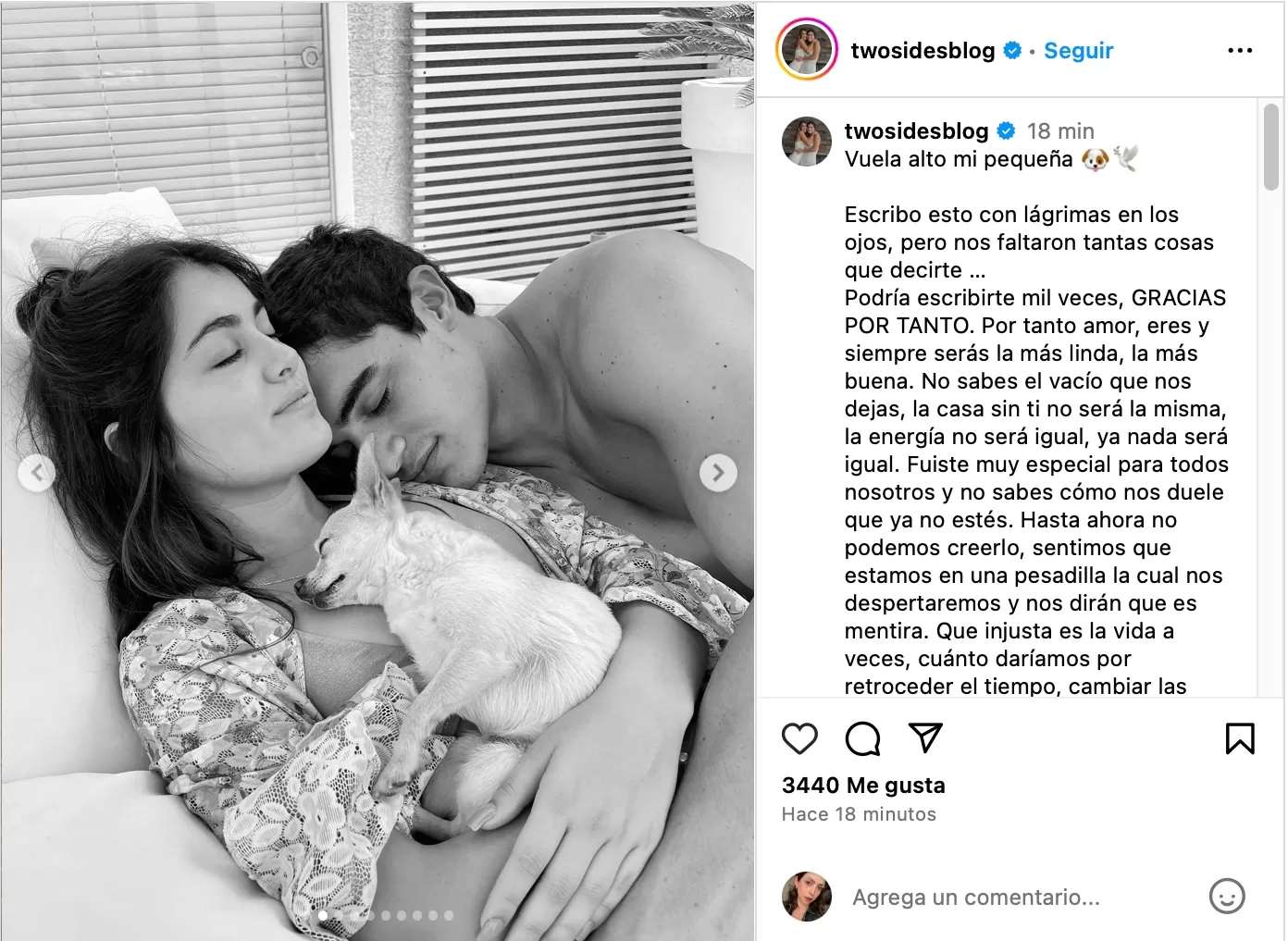 Hermanas de Patricio Parodi de despiden de su mascota. Fotos: Instagram