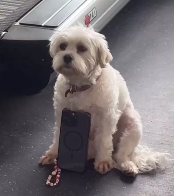 Nieve era la inseparable compañera de Onelia Molina y su hermano Leonardo. Foto: Instagram @oneliamolina_ Nieve era la inseparable compañera de Onelia Molina y su hermano Leonardo. Foto: Instagram @oneliamolina_