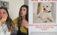 Hija de Fiorella Rodríguez llora por la pérdida de su mascota  - Noticias de fiorella-rodriguez