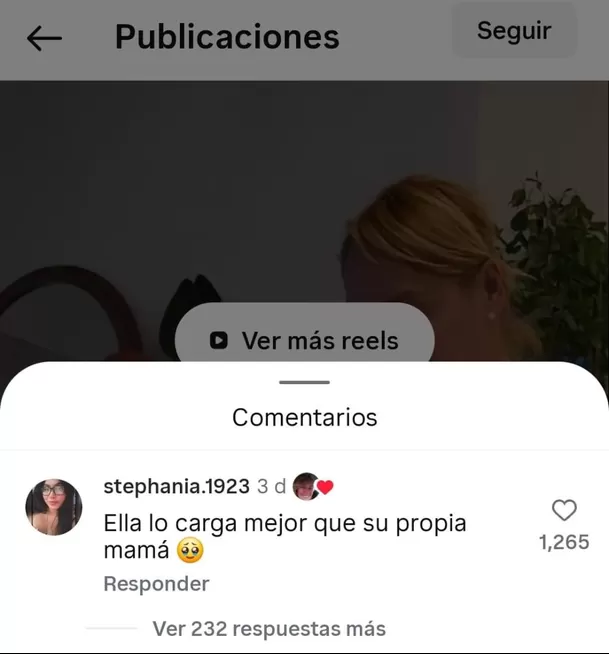 Mamá de Hugo García dio 'like' a comentario contra Isabella Ladera / IG: silvagalmez