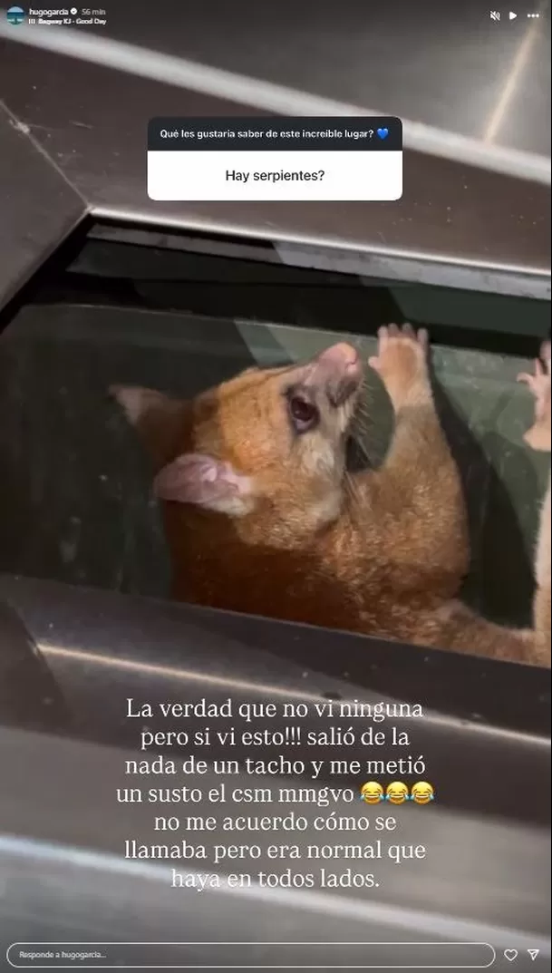 Hugo García pasó el susto de su vida con un animal en Australia. Fuente: Instagram