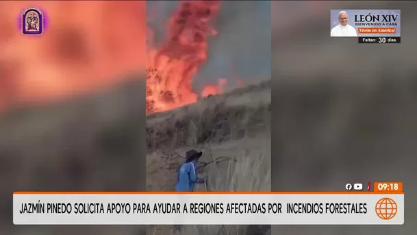 Varias regiones del Perú se han visto golpeadas por los incendios forestales / Captura