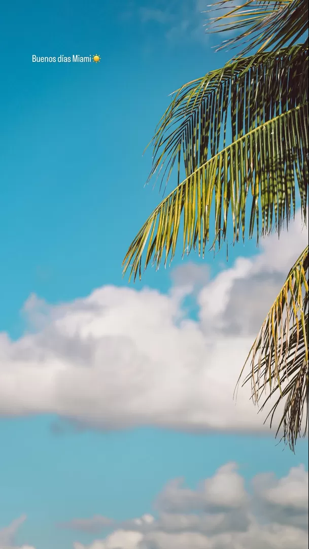 Jefferson Farfán en Miami con Darinka Ramírez / Captura Jefferson Farfán en Miami con Darinka Ramírez / Captura