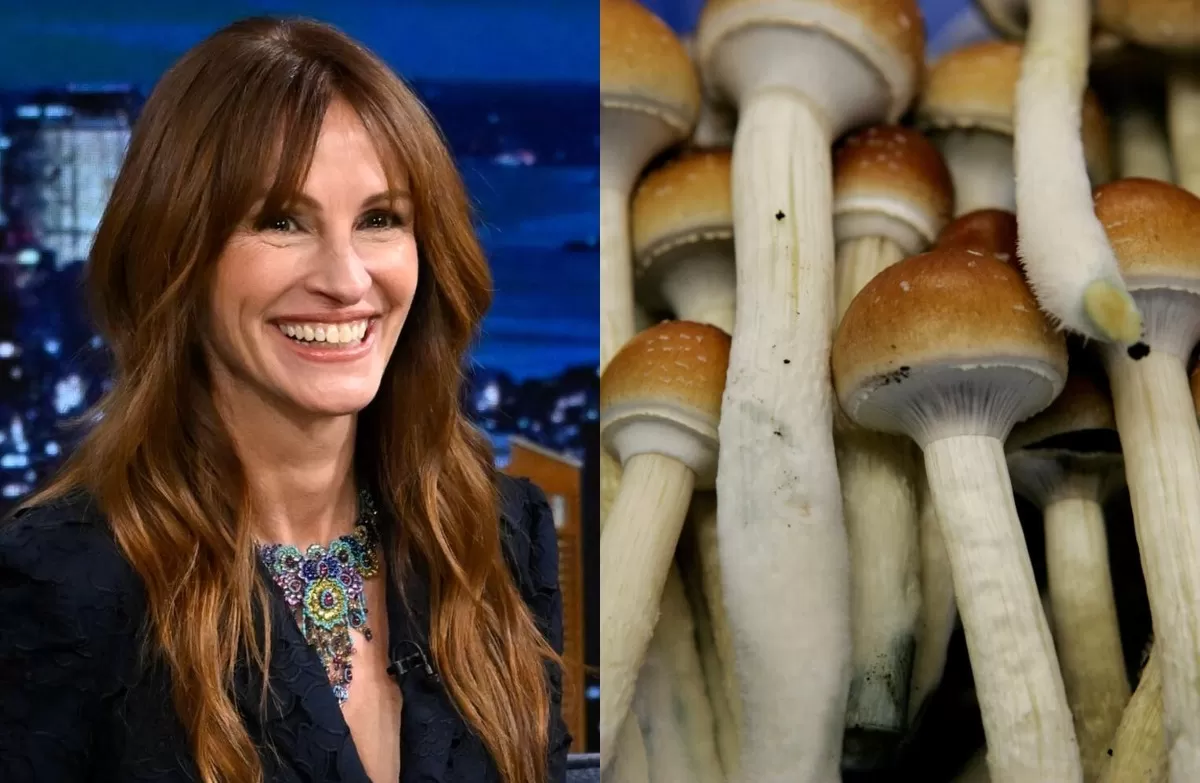 Julia Roberts confesó que tuvo una experiencia psicodélica con hongos alucinógenos/Fotos: Instagram