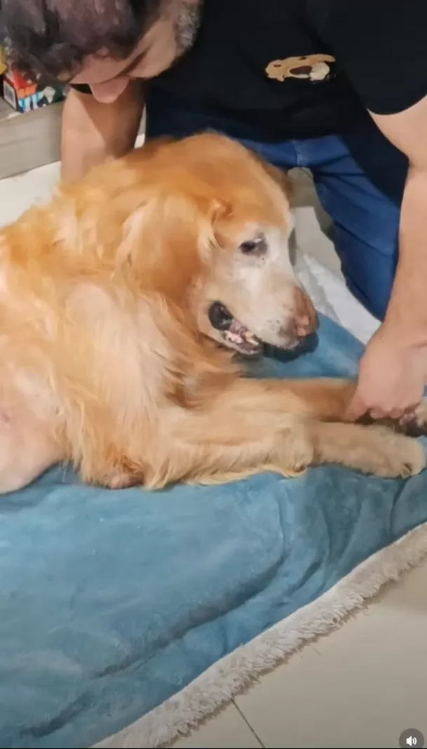 Junior Silva recuerda a su mascota a un mes de su partida/ Captura IG Junior Silva recuerda a su mascota a un mes de su partida/ Captura IG