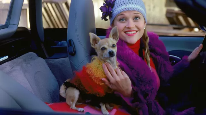 Reese Witherspoon interpretando a Elle Woods. Foto: Trc Reese Witherspoon interpretando a Elle Woods. Foto: Trc