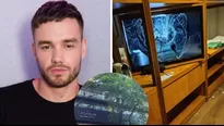 La muerte de Liam Payne: el audio del llamado al 911/ Foto: Instagram / Todo Noticias