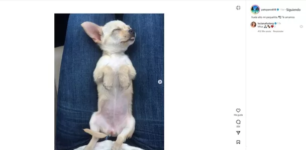 Mensaje de Patricio Parodi despidiéndose de su mascota/Foto: Instagram Mensaje de Patricio Parodi despidiéndose de su mascota/Foto: Instagram