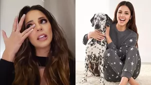 Luciana Fuster se emocionó hasta las lágrimas por conseguir ayuda para un perrito abandonado/Fotos: Instagram/Video: Instagram