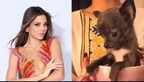 uciana Fuster se despidió de su adorada mascota con emotivo mensaje / Instagram