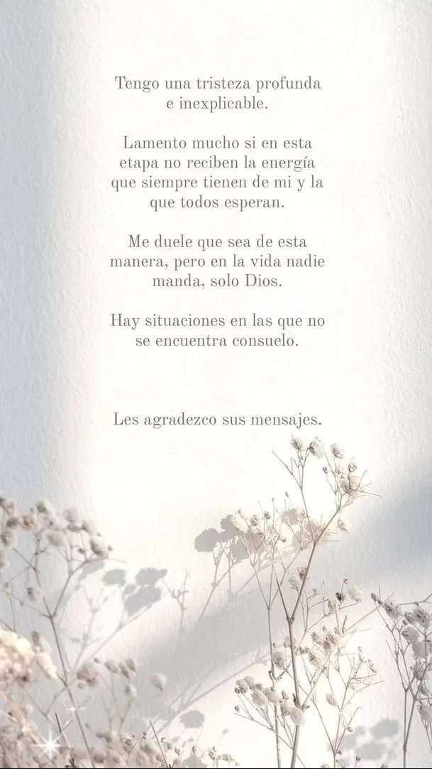 Luciana Fuster se dirigió a sus seguidores tras la muerte de Savanna / Instagram