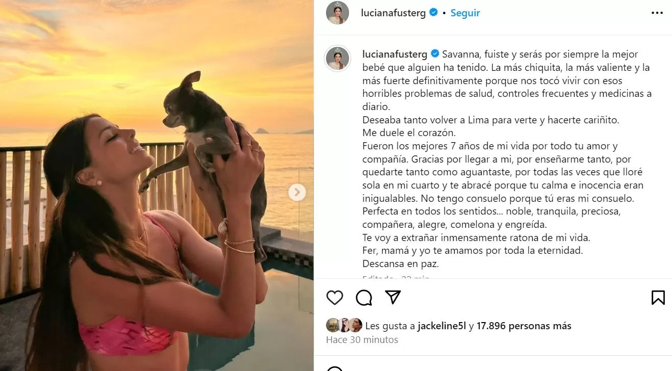 La mascota de Luciana Fuster tenía "horribles" problemas de salud, según contó la modelo / Instagram