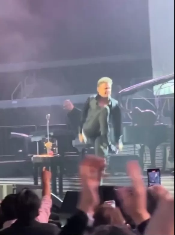 Así fue la caída de Luis Miguel durante concierto en México/Foto: Instagram