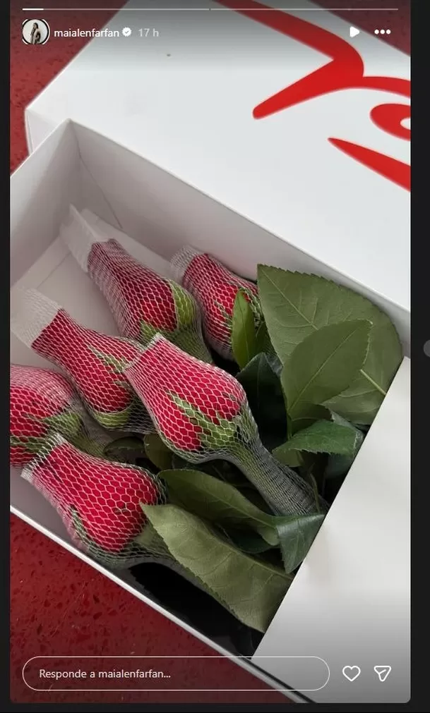 La hija de Jefferson Farfán sorprendió al mostrar en sus historias de Instagram un delicado arreglo de rosas rojas. Maialen presumió el detalle, pero no contó quién estuvo detrás del obsequio. / Mailen Farfán. Foto: IG @mailenfarfan