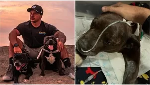 Mario Hart rompió en llanto por muerte de su mascota / Instagram