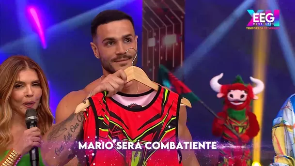 El Tribunal mandó a Mario Irivarren a los combatientes. Fuente: AméricaTV