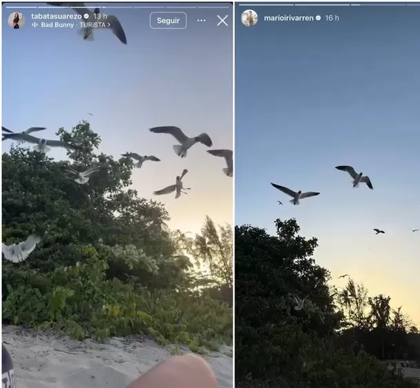 Mario Irivarren y Tabata Suárez viajaron a Puerto Rico / IG: @marioirivarren @tabatasuarezo Mario Irivarren y Tabata Suárez viajaron a Puerto Rico / IG: @marioirivarren @tabatasuarezo