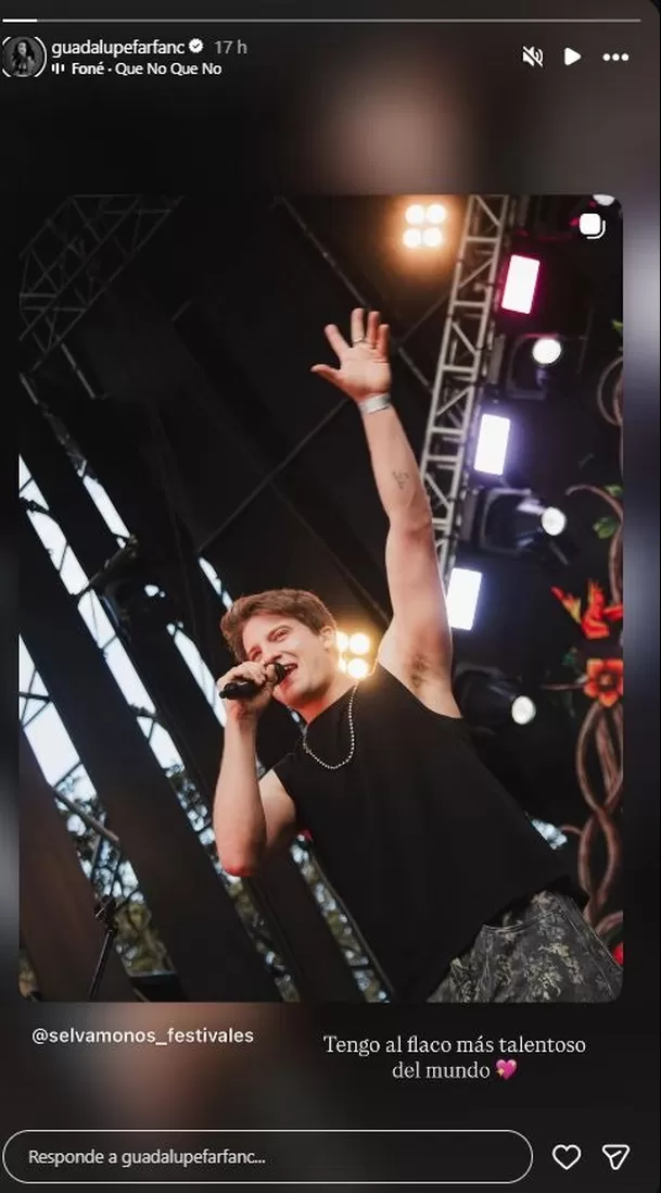 La influencer compartió una historia de Instagram durante la presentación del cantante en un festival y no dudó en dedicarle un romántico mensaje. Video: IG @mathispitzer.fone