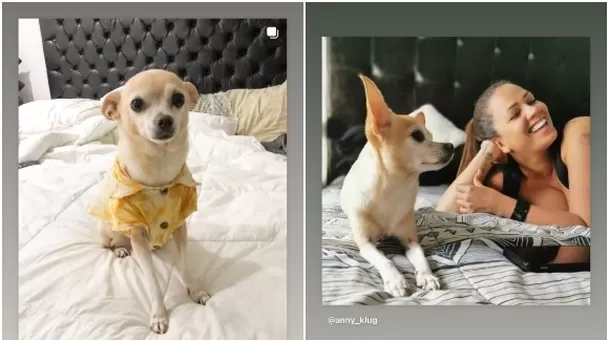 Melissa Lobatón se despidió de su mascota Anny Klug. Fuente: Instagram Melissa Lobatón se despidió de su mascota Anny Klug. Fuente: Instagram
