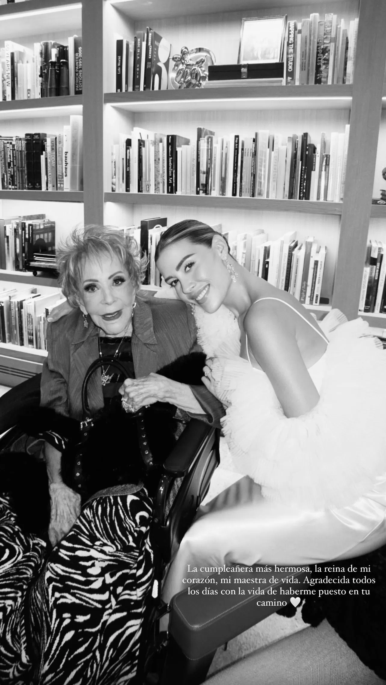 Michelle compartió gratos momentos con su bisabuela Silvia Pinal/ Foto: Instagram